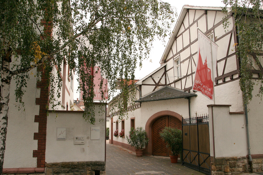 Georg Albrecht Schneider Weingut mit Weinverkauf in Nierstein Rheinland-Pfalz Rheinland Pfalz