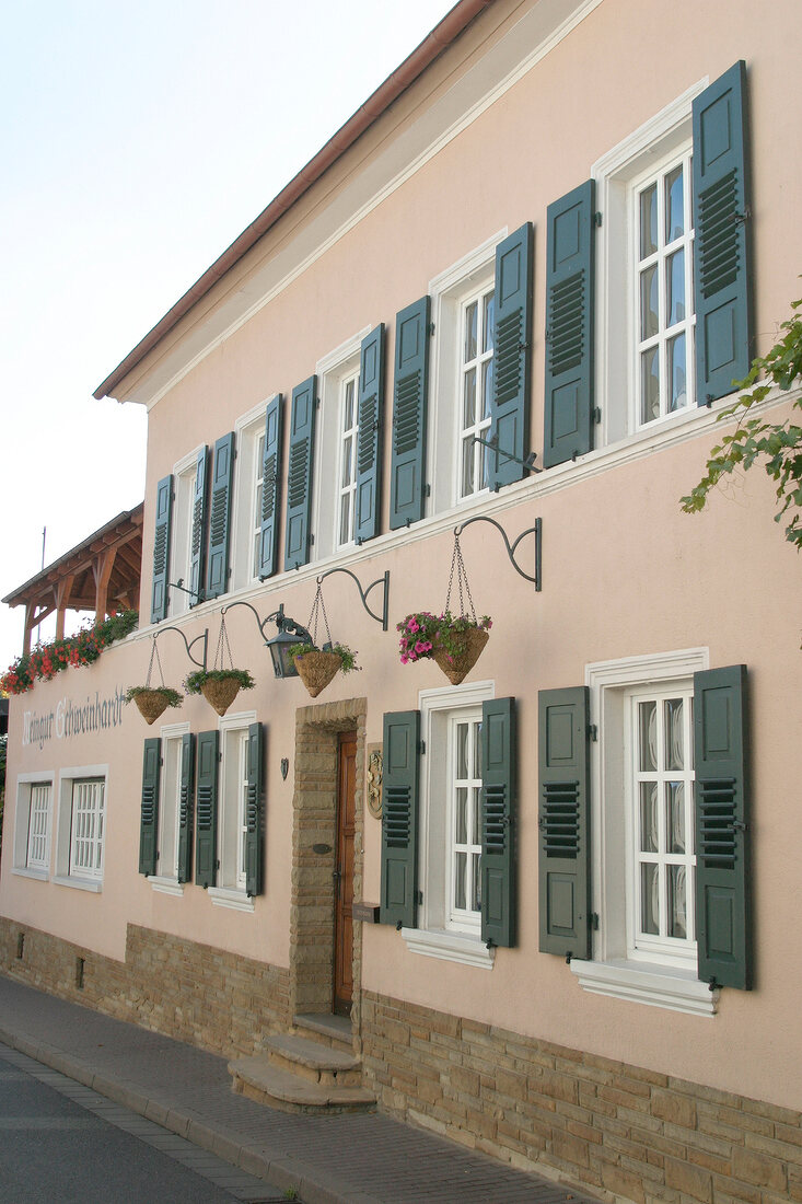 Bürgermeister Schweinhardt Buergermeister Schweinhardt Weingut mit Weinverkauf Ferienwohnung in Langenlonsheim