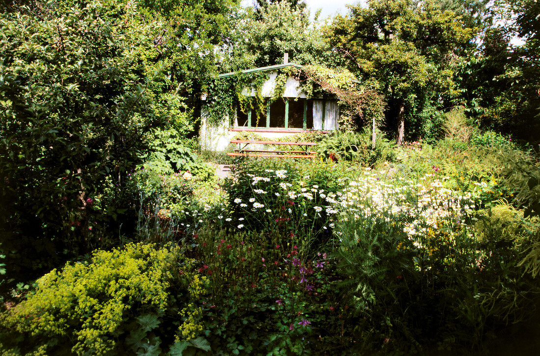 Kleingartenanlage mit kleinem Häuschen