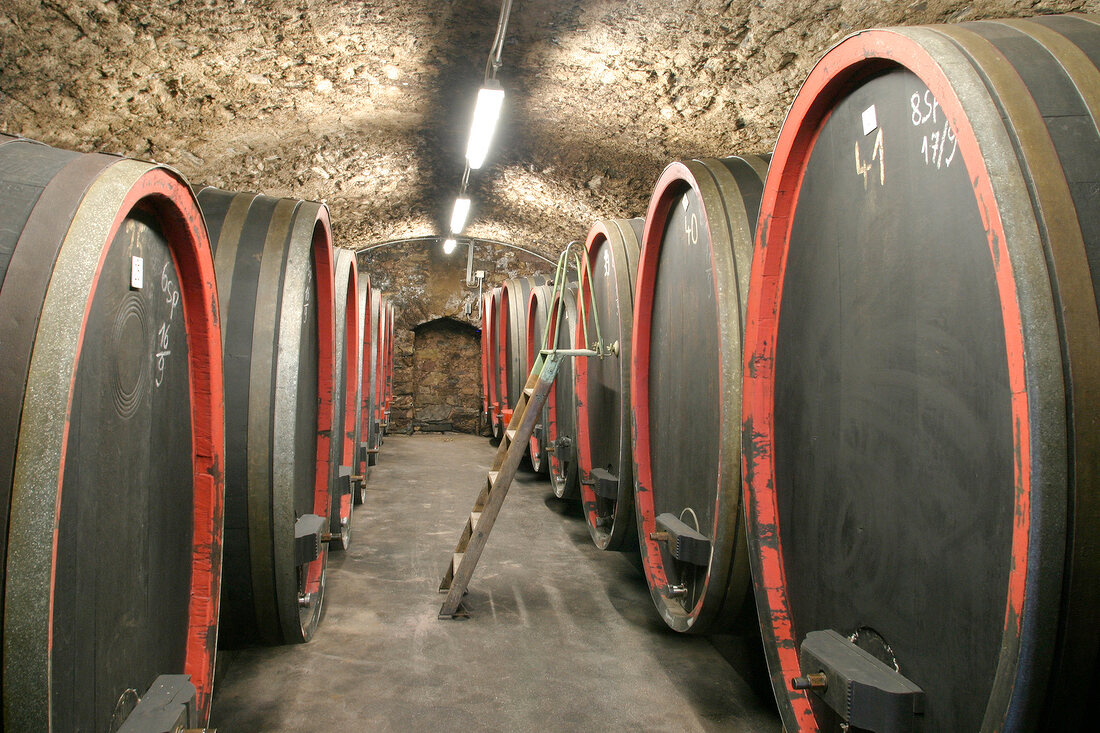 Carl Adelseck Weingut mit Weinverkauf in Münster-Sarmsheim Muenster-Sarmsheim Münster Sarmsheim