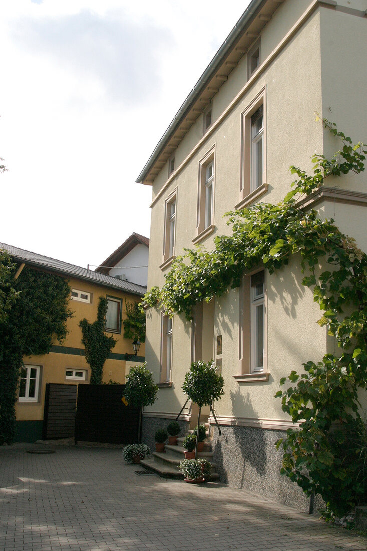 Dr Crusius Weingut mit Weinverkauf in Traisen Rheinland-Pfalz Rheinland Pfalz