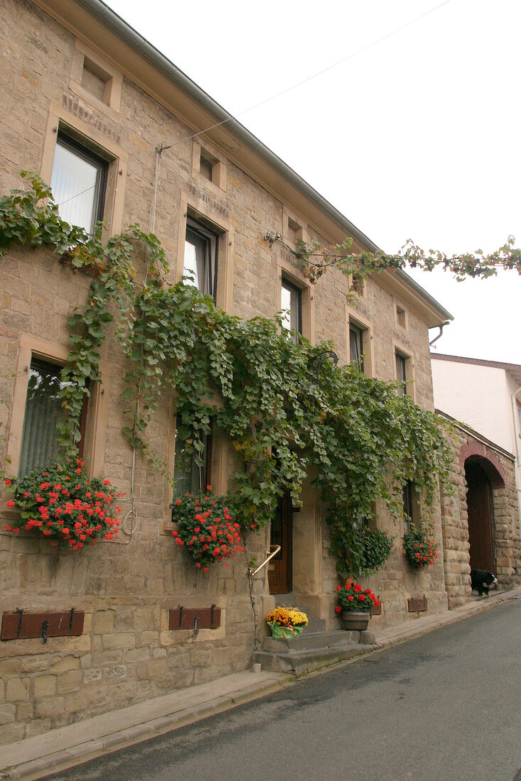 Jakob Schneider Weingut mit Weinverkauf in Niederhausen Rheinland-Pfalz Rheinland Pfalz