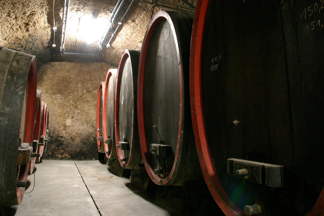 Jakob Schneider Weingut mit Weinverkauf in Niederhausen Rheinland-Pfalz Rheinland Pfalz