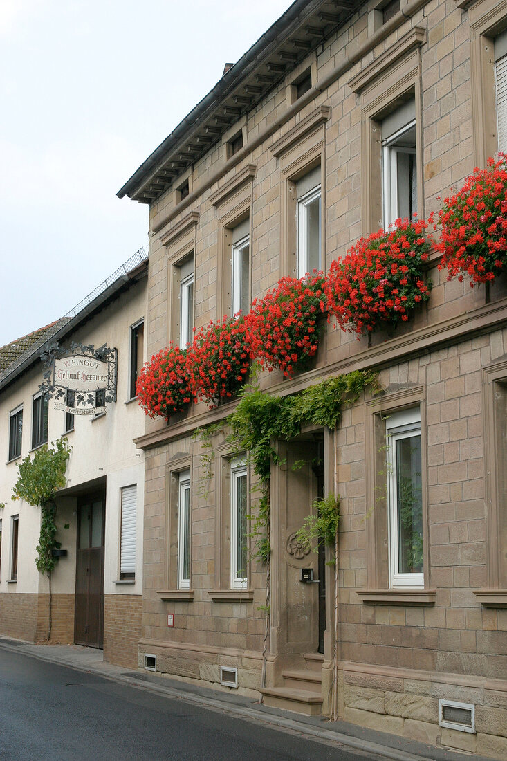 Hexamer Weingut mit Weinverkauf in Meddersheim Rheinland-Pfalz Rheinland Pfalz