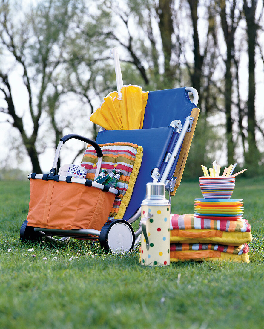 Cushion, basket, thermos, bowls, plates and trolley on meadow at picnic