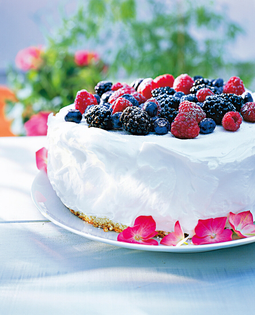 Close-up of ice cream cake with berries and meringue served in garden