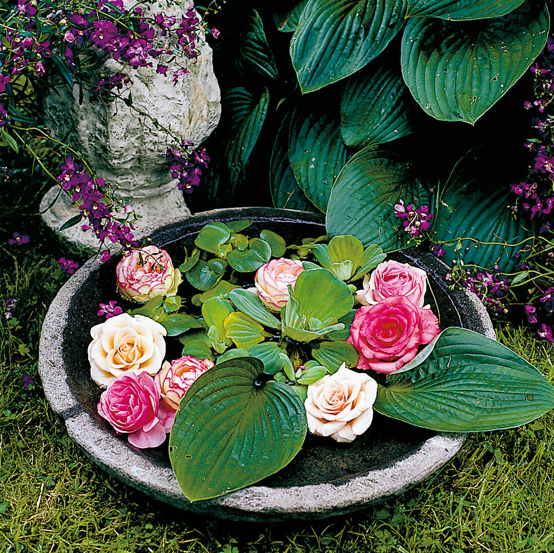 Blossoms and leaves in a stone plate, to order