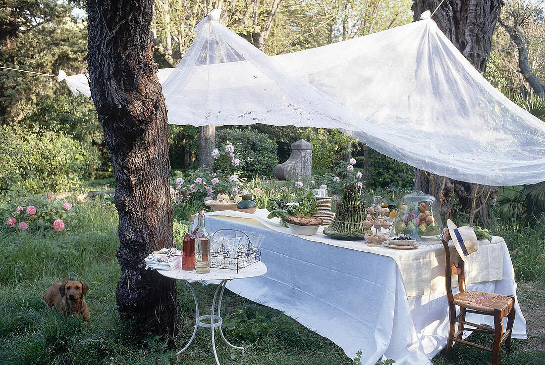 Im Garten aufgebautes Buffet, weißes Sonnensegel zwischen den Bäumen