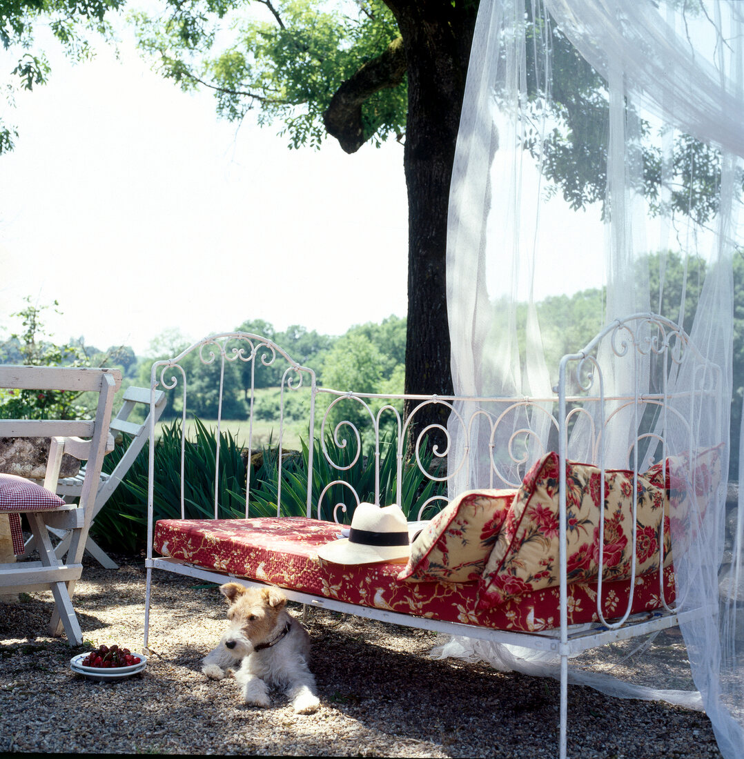 White painted iron bed on terrace with mosquito net and dog sitting under