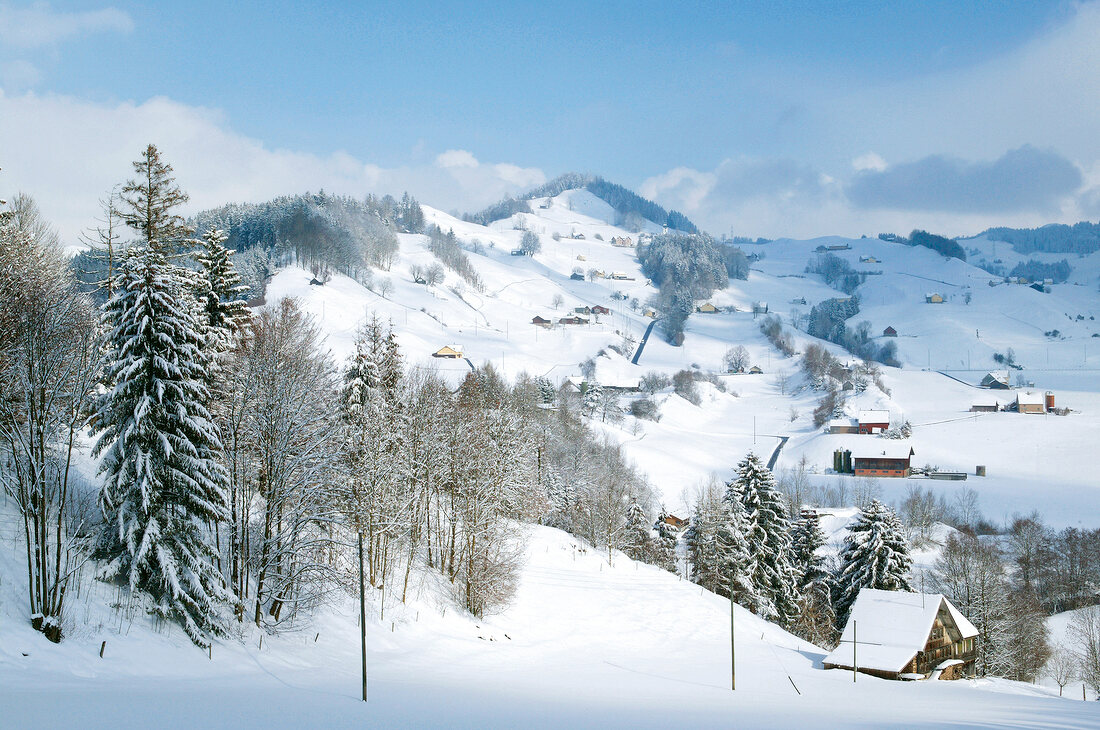 View of snow covered slope with small houses