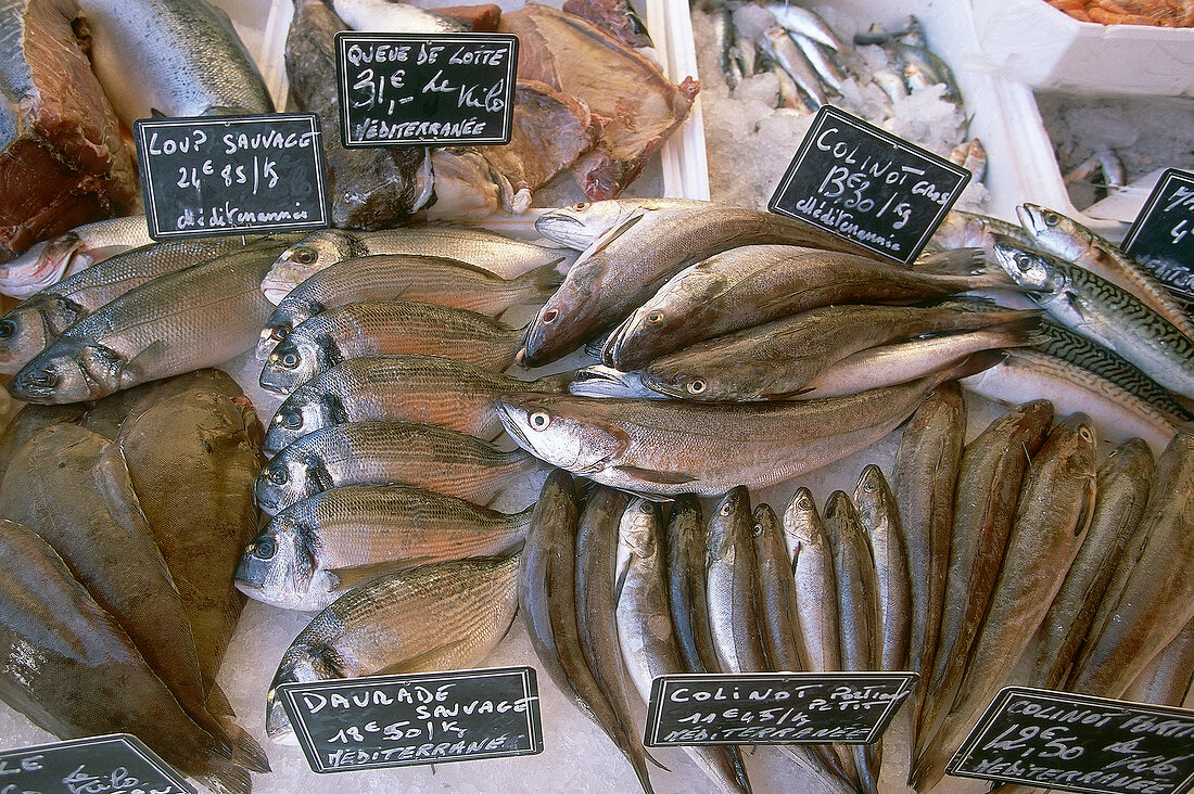 Verschiedene Sorten Fisch, roh, auf Eis mit Preisschildern, Markt