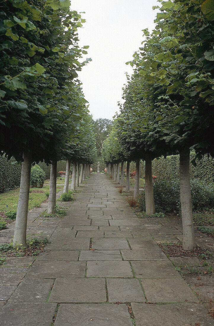 Paved path with trees at Sissinghurst Castle Garden
