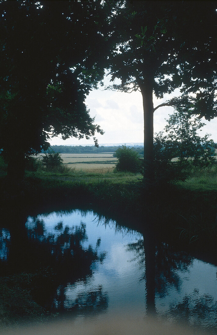 Trees around the pond at Sissinghurst Castle Garden overlooking fields in background, UK