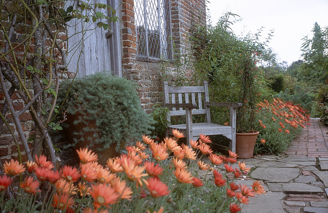 Eingangstür eines englischen Hauses, davor Holzstuhl, orange Blumen