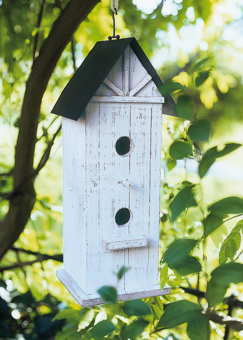 Kleines Vogelhäuschen hängt in den Bäumen