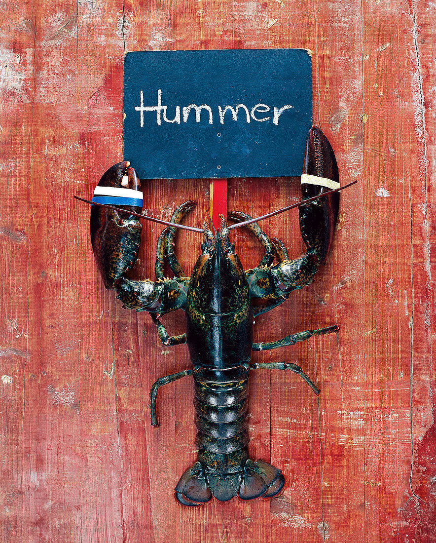 Lobster tied below wooden sign 'Hummer'