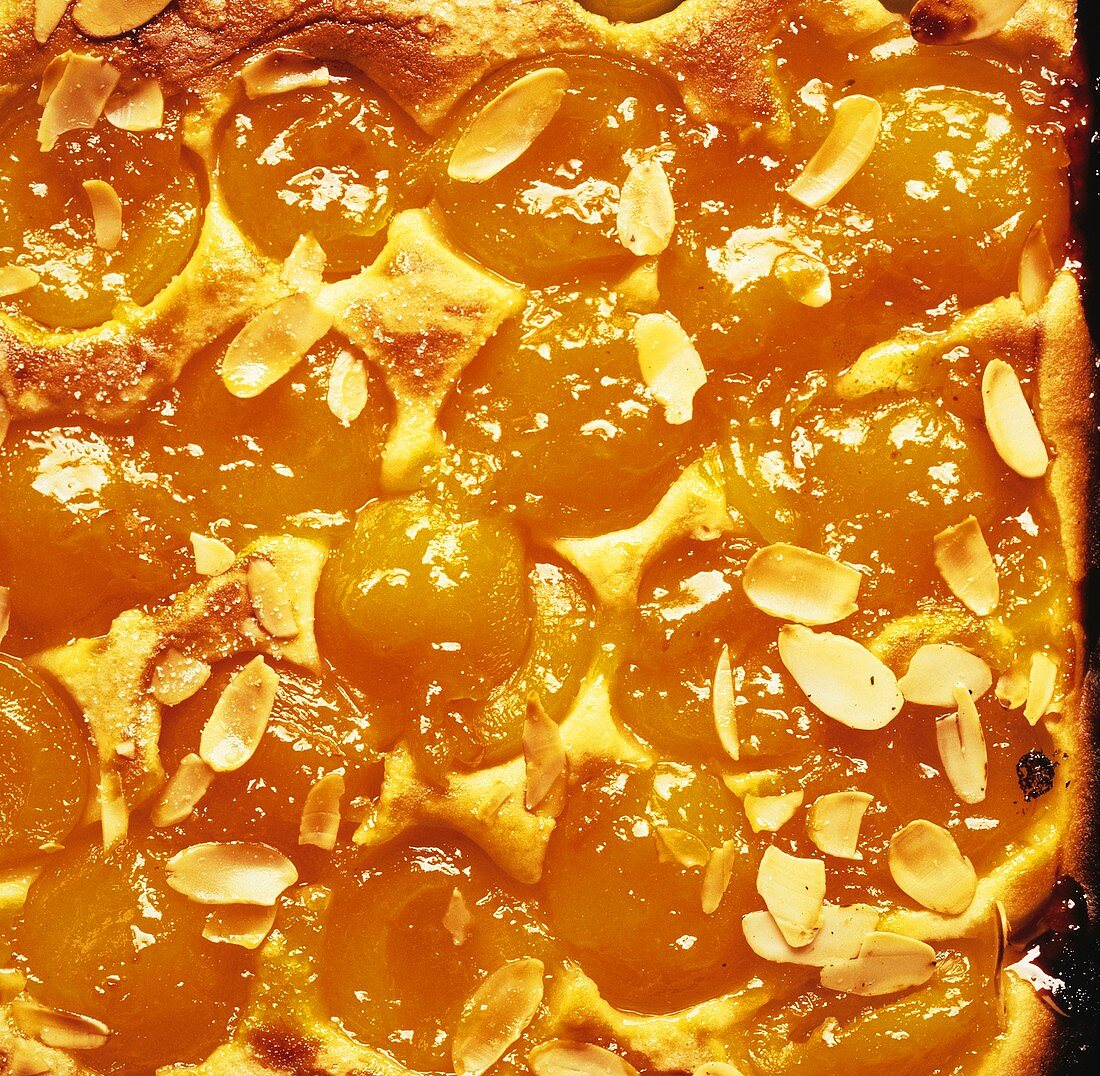 Apricot cake with flaked almonds