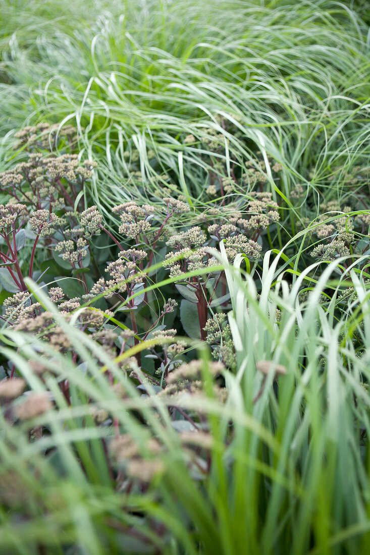 Gräfliche Park Bad Driburg, Spa, Teutoburger Wald, Ostwestfalen-Lippe