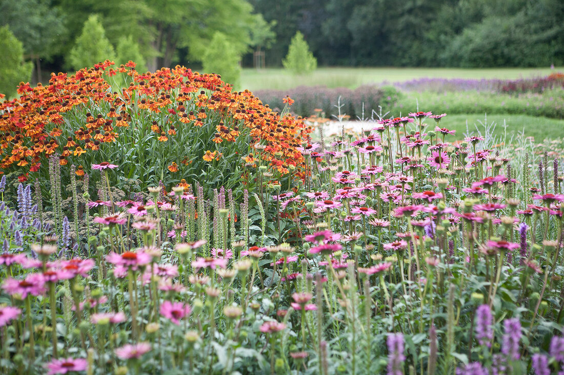 Gräfliche Park Bad Driburg, Teutoburger Wald, Ostwestfalen-Lippe