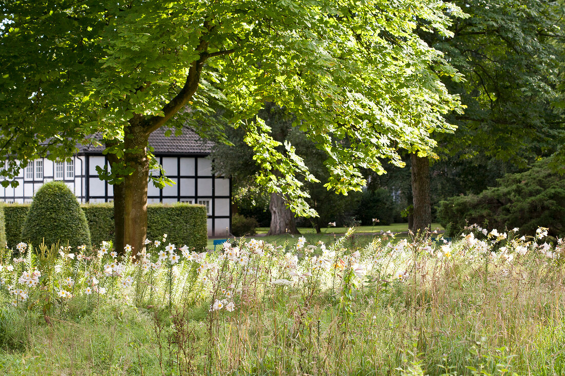 Hotel Gräflicher Park, Fachwerkhaus 