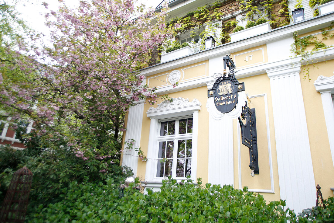 Halbedel's Gasthaus,Restaurant Bonn