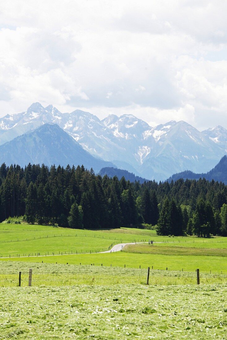 An alpine view near Ofterschwang in Allgäu in Bavaria, Germany