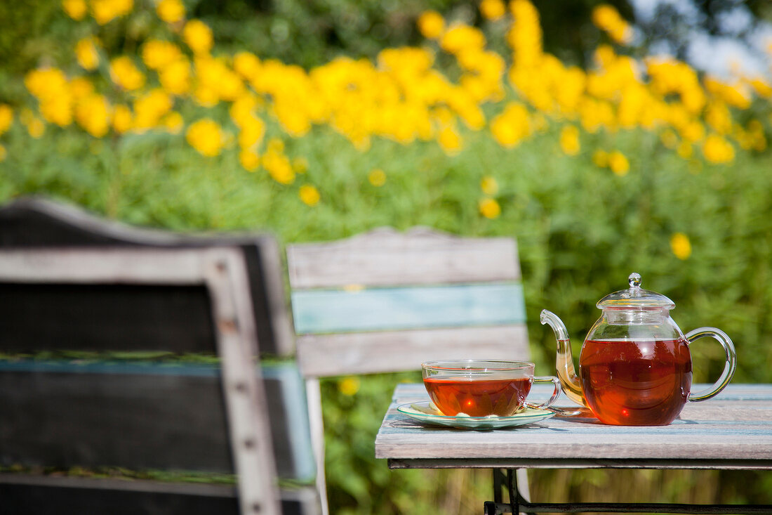 A glass teapot and a cup on a garden table
