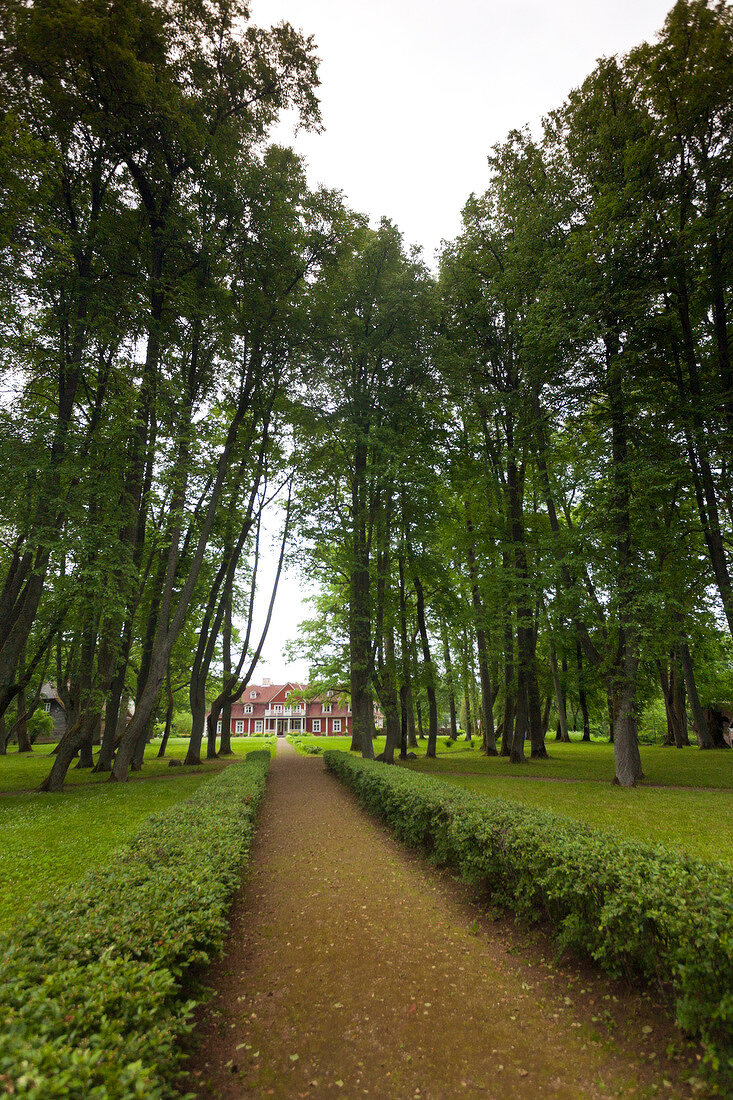 Orellen, Lettland, Park, Bäume