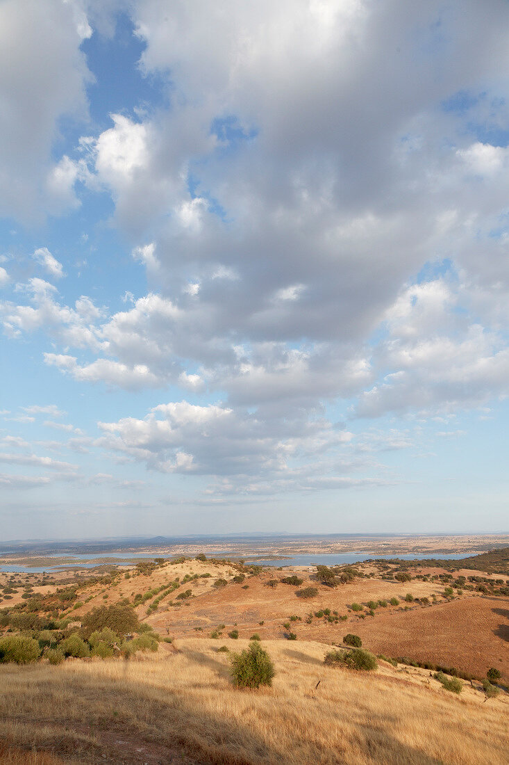 Portugal, Alentejo, bei Monsaraz