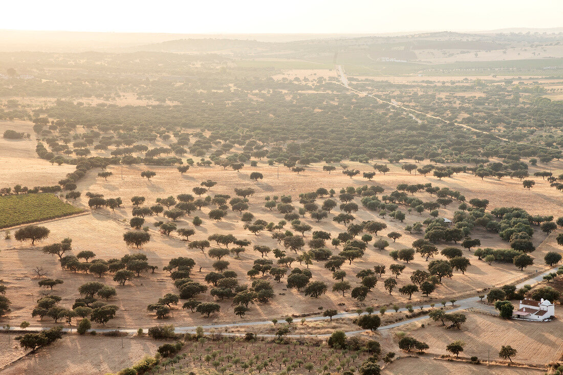 Portugal, Alentejo, bei Monsaraz