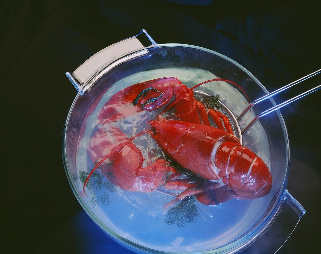 Cooked Lobster Coming out of a Pot
