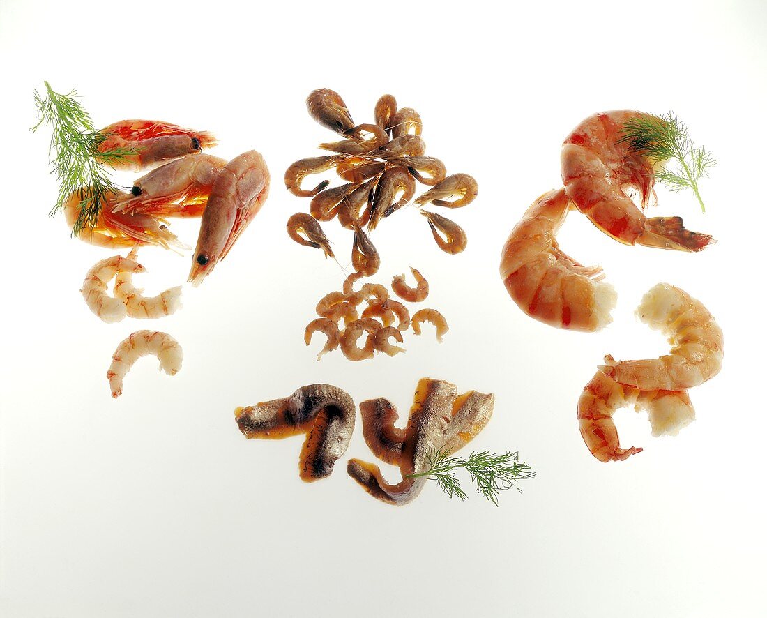 Shrimps, scampi and fish fillets