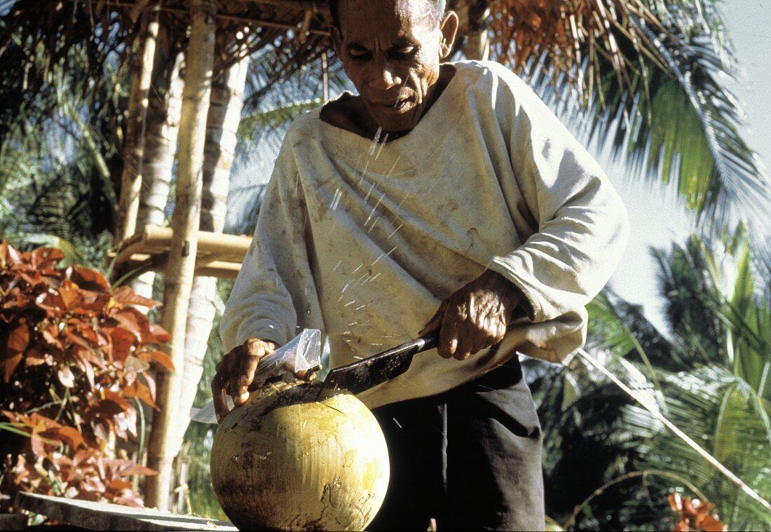 Asian Man Opening a Coconut with a Knife