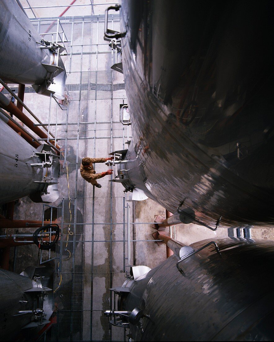 Edelstahlgärtank in der Großkellerei Torres, Penedes, Spanien