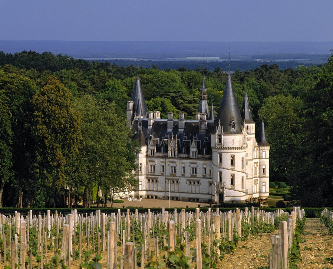 Das Wein-Château du Nozet bei Pouilly-sur-Loire in Frankreich