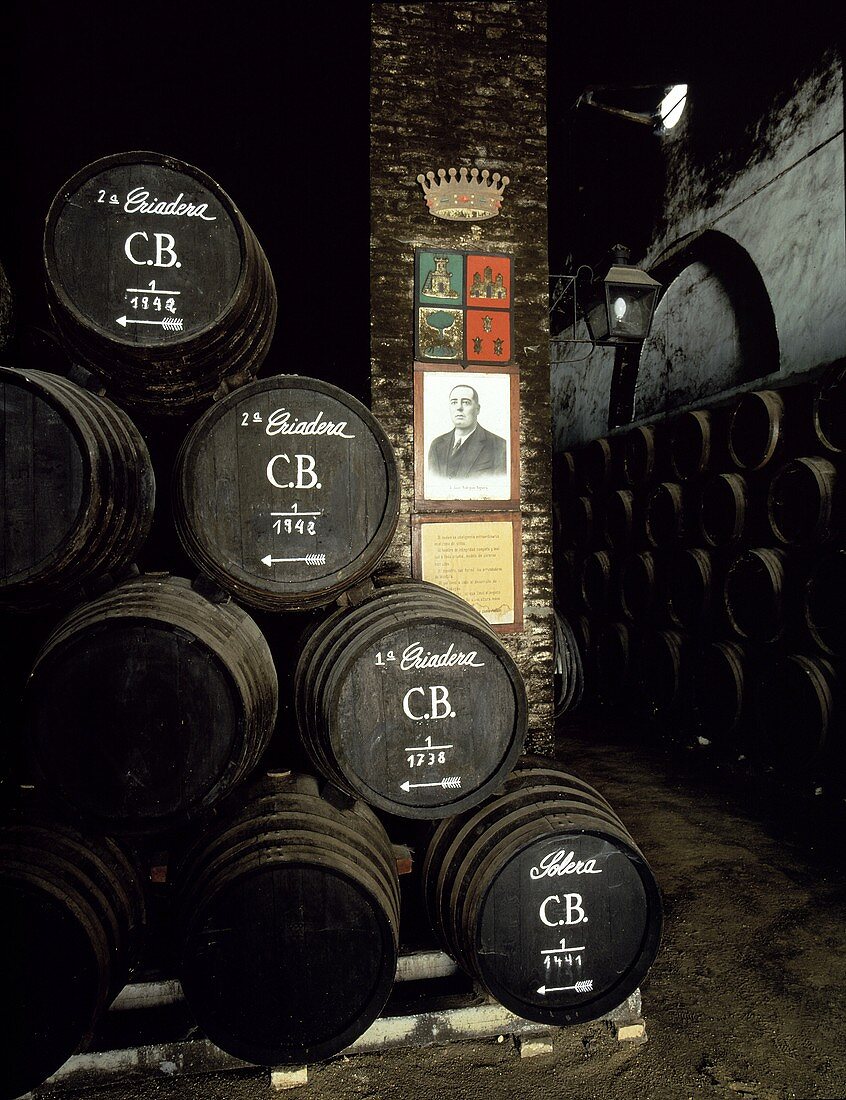 Fässer im Weinkeller, Bodega La Monumental, Montilla, Spanien