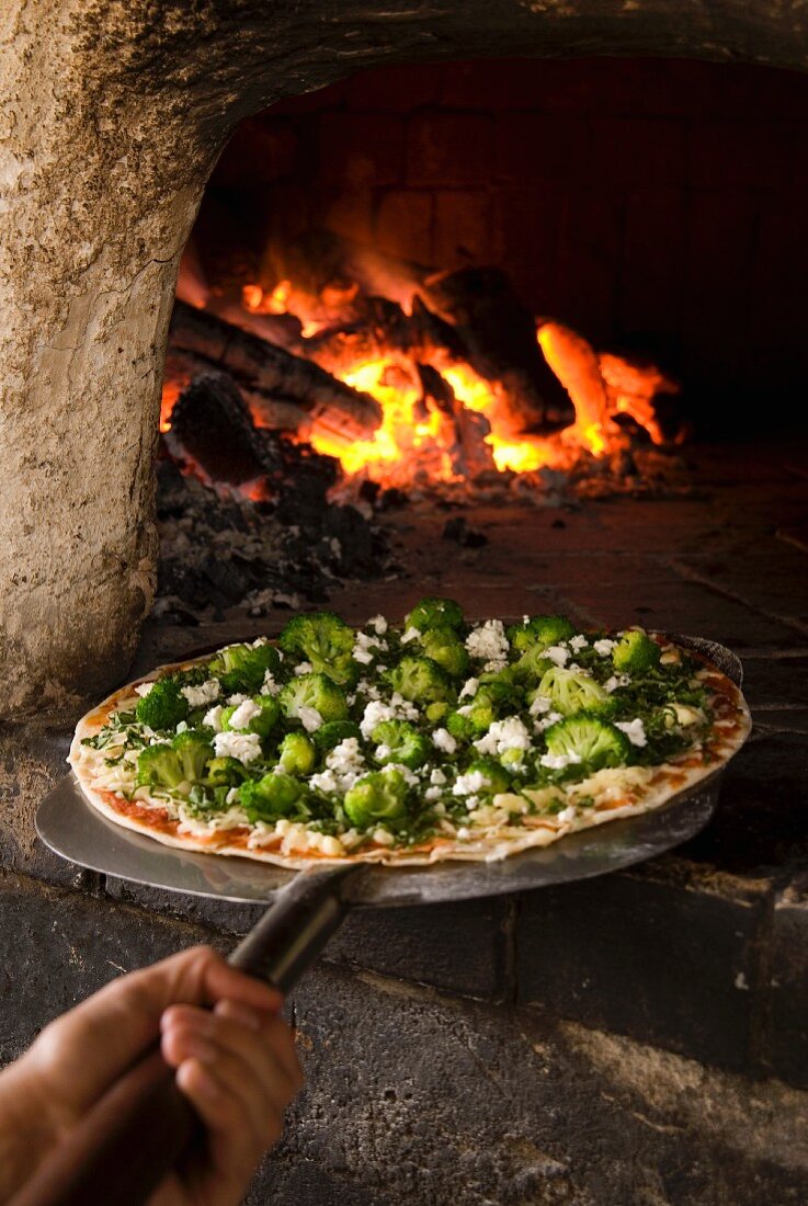 Pizza with broccoli, spinach, pine nuts and cashew nuts cooked in a wood-fired oven
