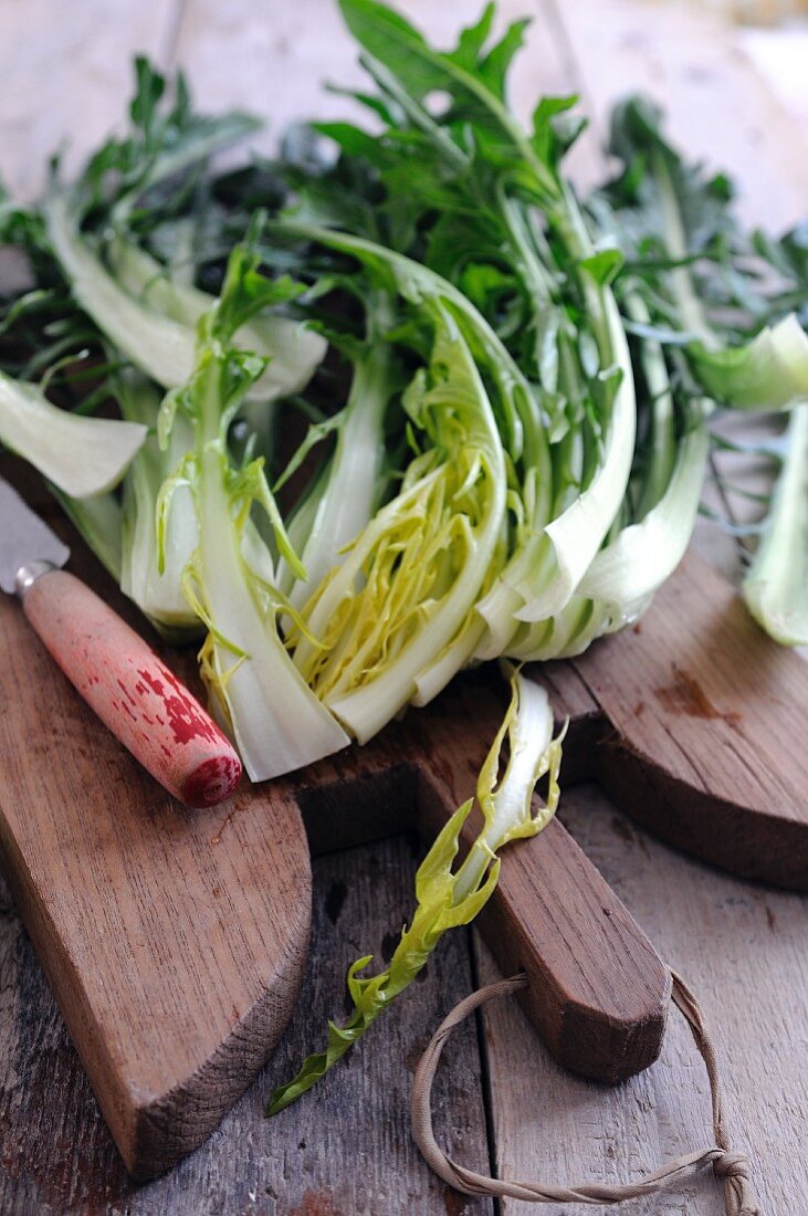 Chicory greens on a wooden chopping board