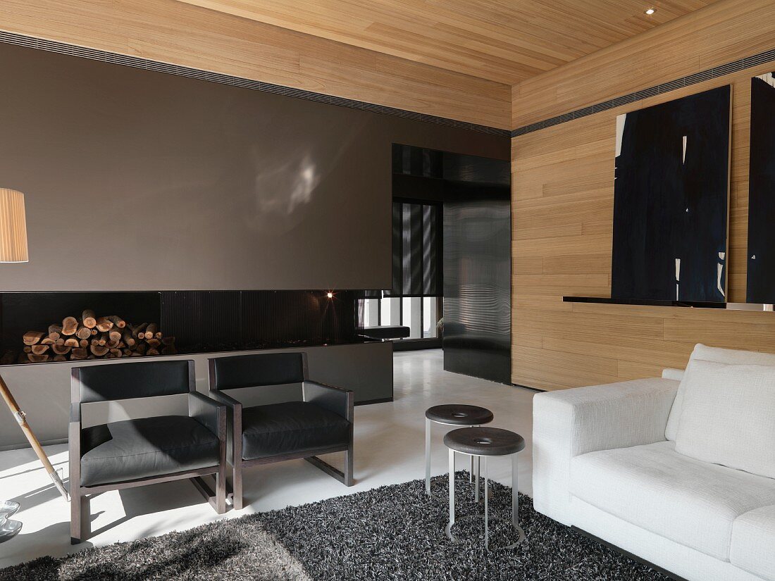 Living room with black and white modern furniture