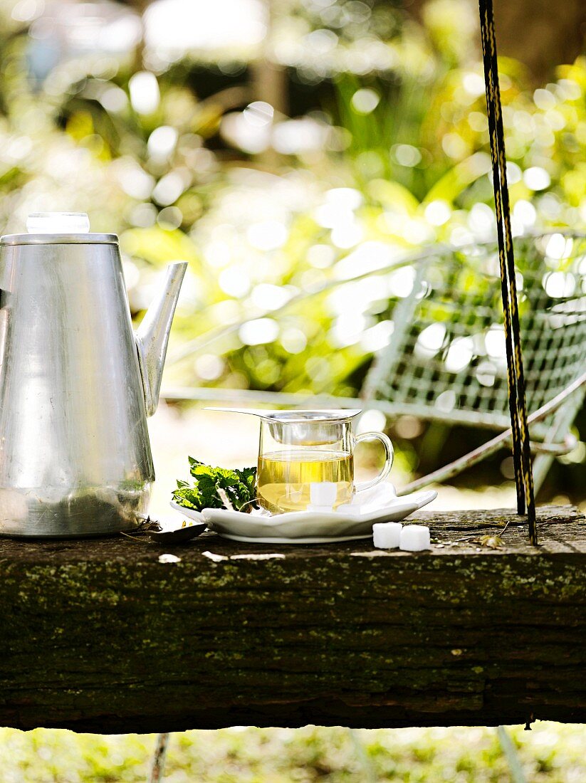 Mint tea with sugar cubes in a garden