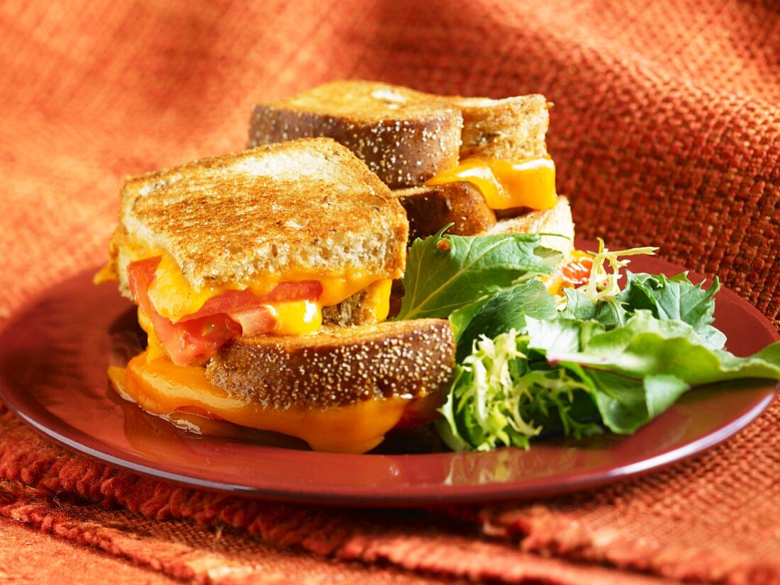 Sandwichtoast mit Käse und Tomaten, Salatbeilage