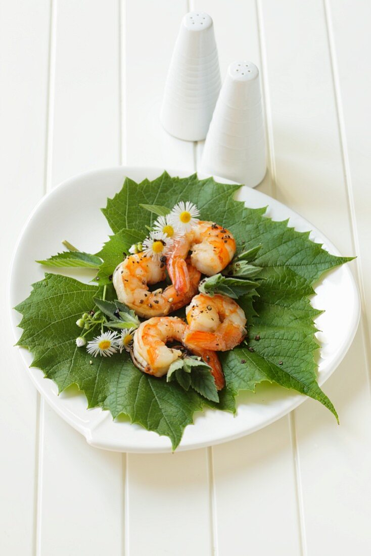 Shrimps and daises on vine leaves
