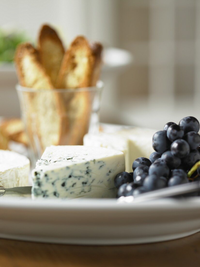 Gorgonzola, Trauben und Crostini