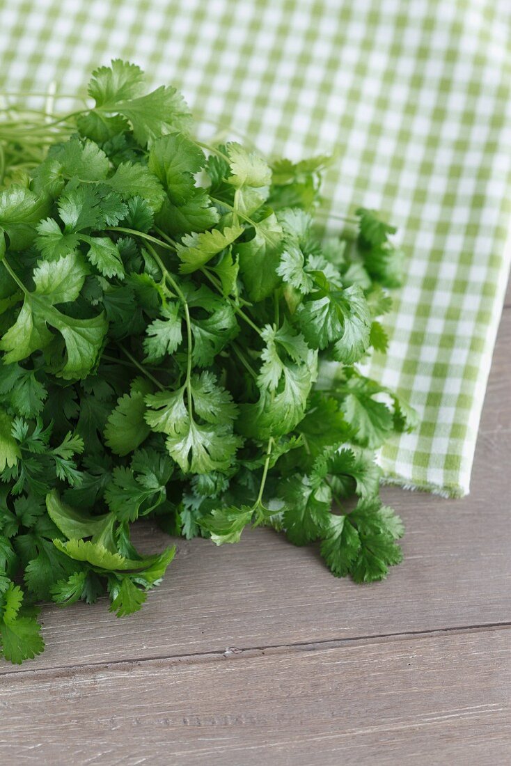 Fresh coriander