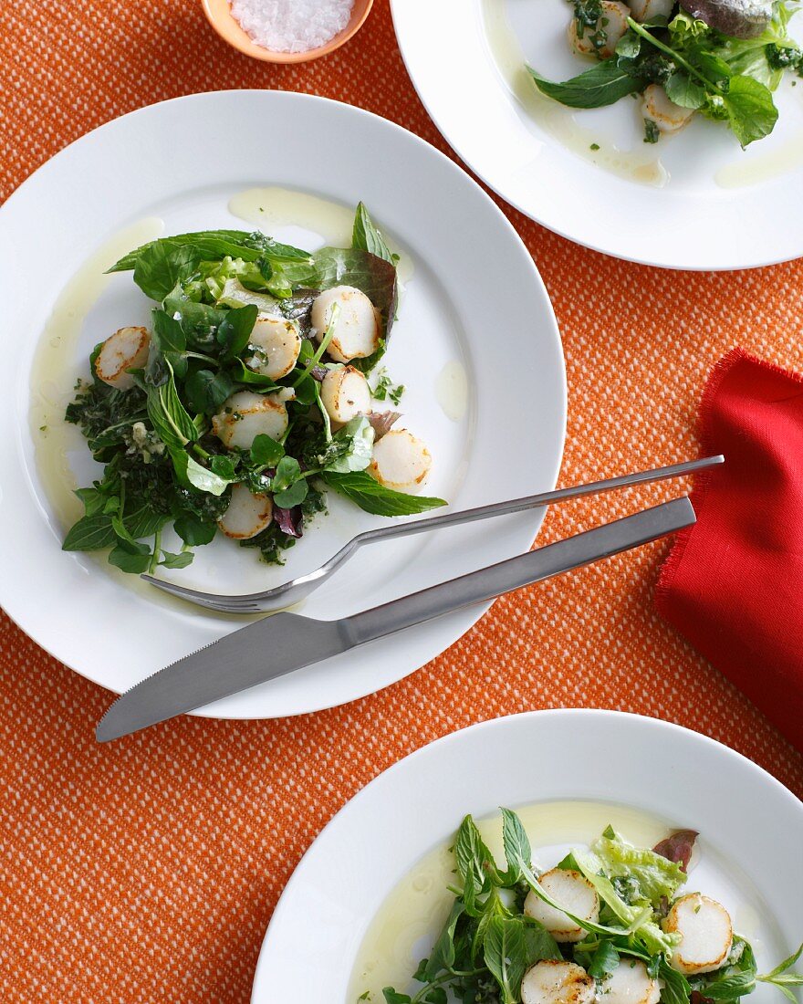 Kräutersalat mit Jakobsmuscheln