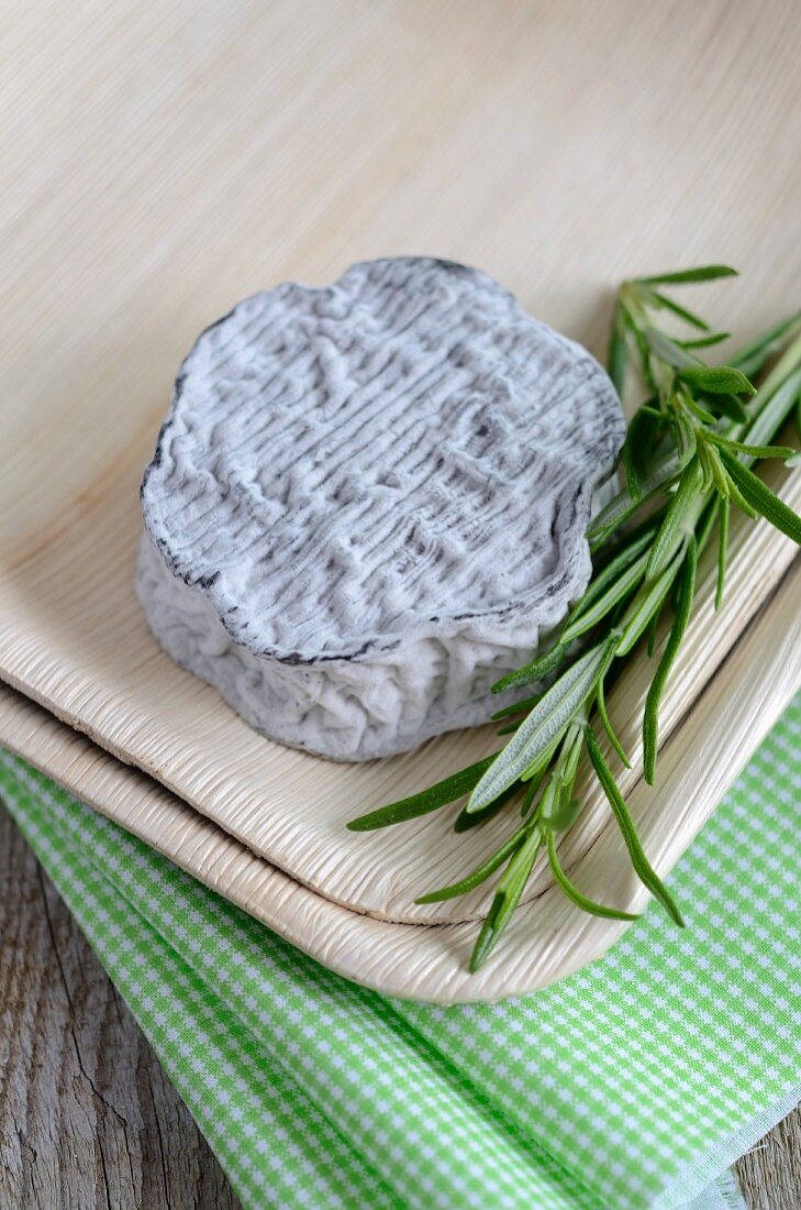 Chevre cendre aus Frankreich