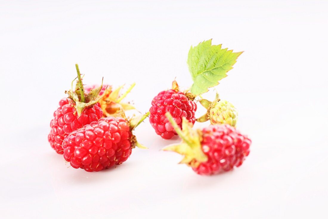 Several raspberries with leaves