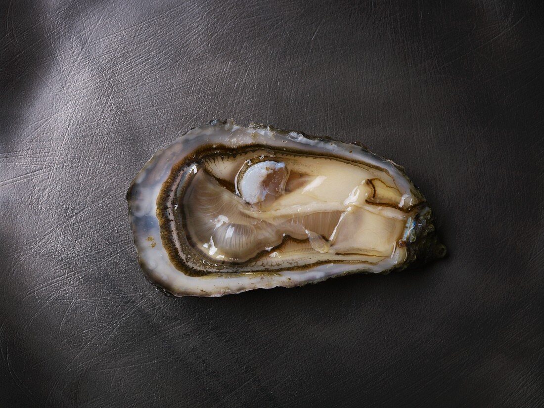 A raw belle fermanvillaise creuse oyster