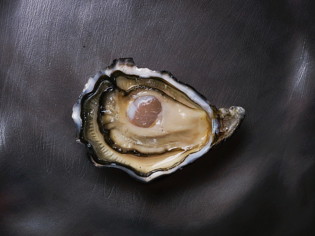 Eine Gillardeau-Auster