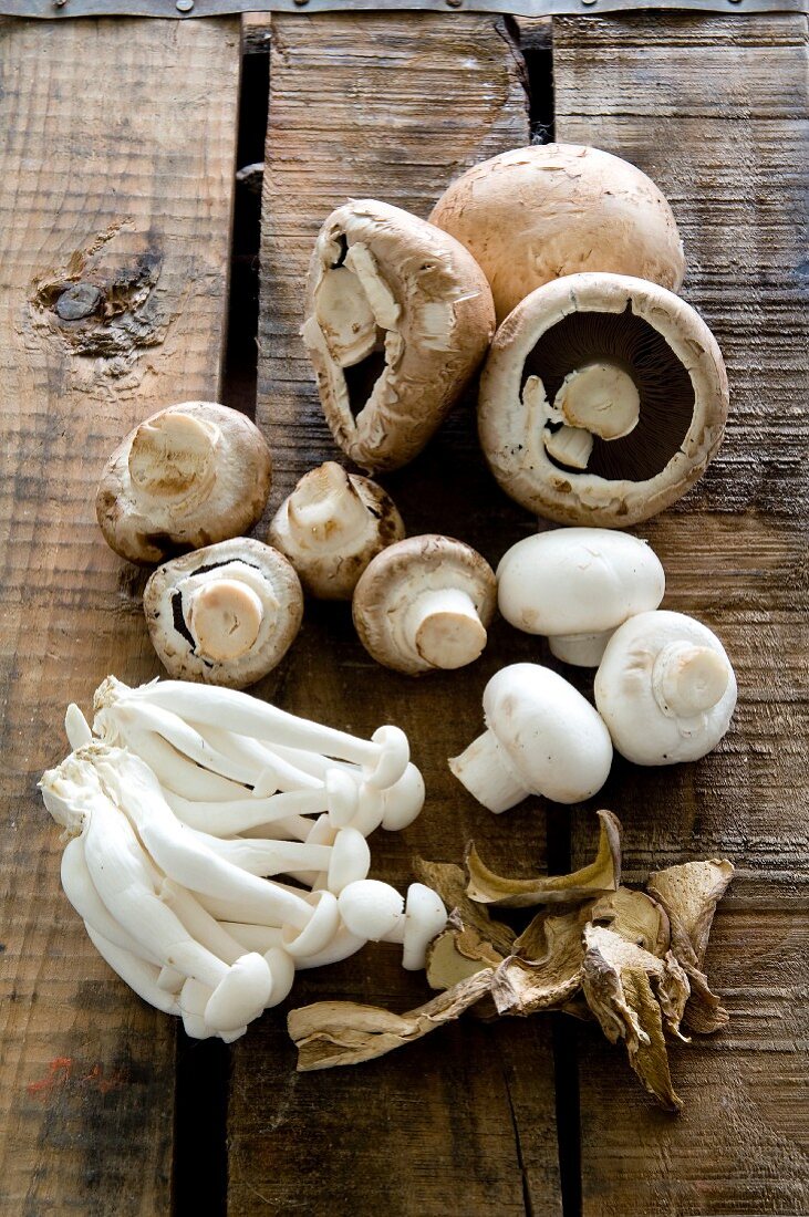 Button mushrooms, shimeji mushrooms and dried porcini mushrooms